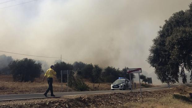 Efectivos del Plan Infoca trabajando en la extinción del incendio