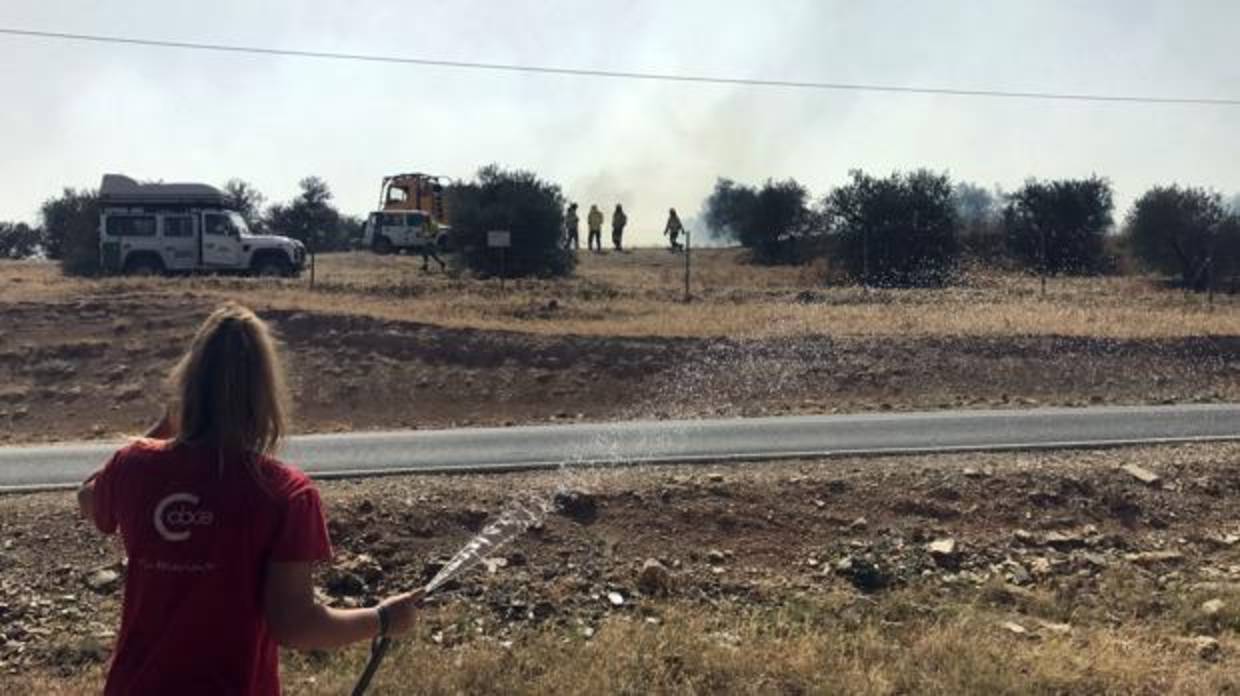 Vecinos de Gerena sofocando el fuego