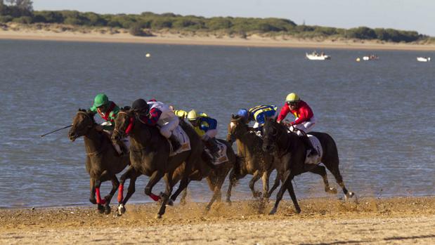 Sanlúcar inicia este jueves sus tradicionales Carreras de Caballos