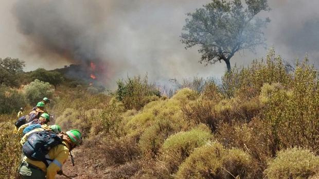 Estabilizado el incendio forestal en El Castillo de las Guardas