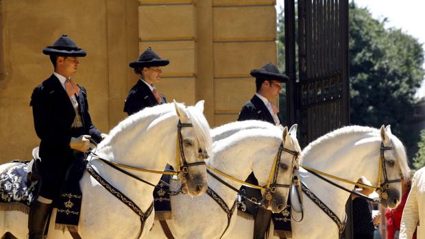 Jerez será nombrada este fin de semana 'Ciudad Europea del Caballo 2018'