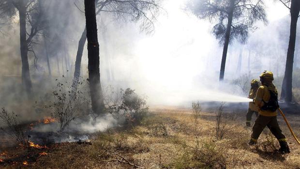 Estabilizado el incendio forestal declarado este jueves en un paraje de Alanís