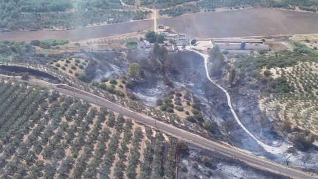 Interrumpido el tráfico ferroviario en el entorno de Benacazón a causa de un incendio