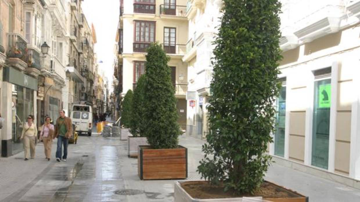 La calle Nueva es una de las zonas de Cádiz que cuentan con macetones como exorno