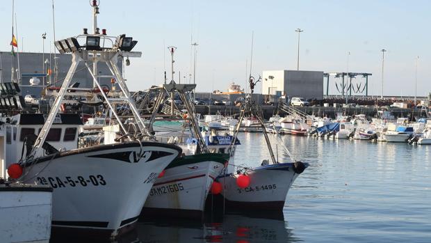 La Junta hará un dragado de emergencia en el puerto de Barbate