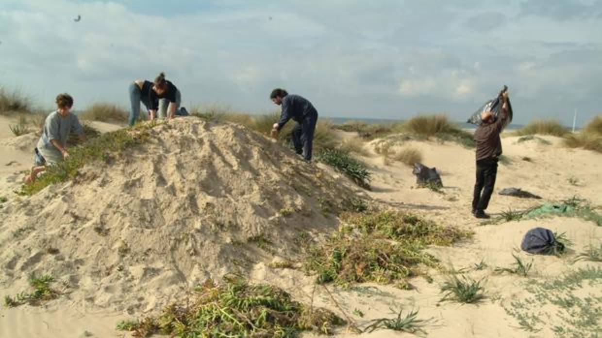 Trabajo joven a pie de playa