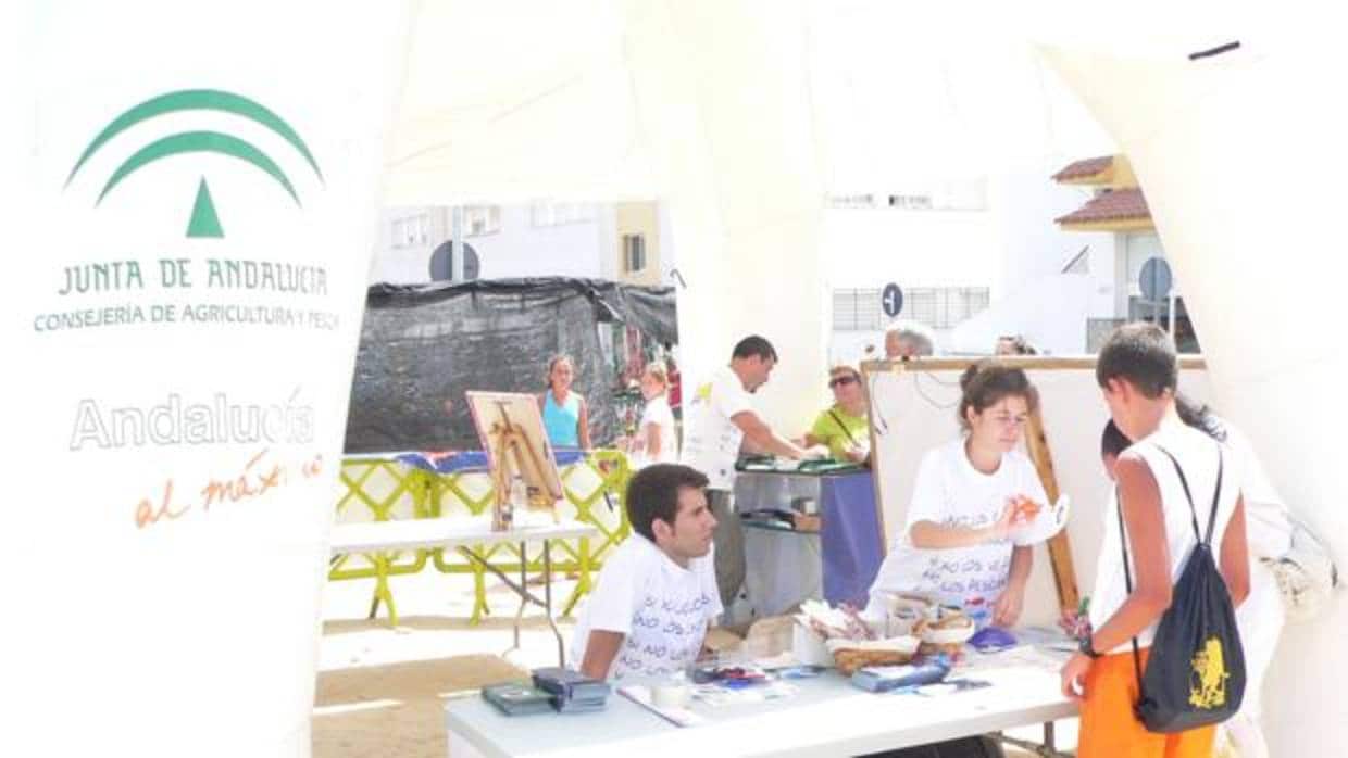 campaña sobre la idoneidad del proceso de pesca hasta el consumo del pescado en Barbate, centrada en la pesca de inmaduros