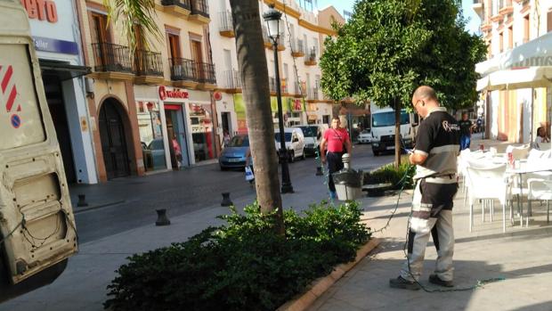 Alcalá de Guadaíra bate el récord: comienza la instalación de las luces navideñas