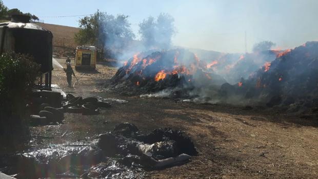 Aparatoso incendio en un pajar de Jerez