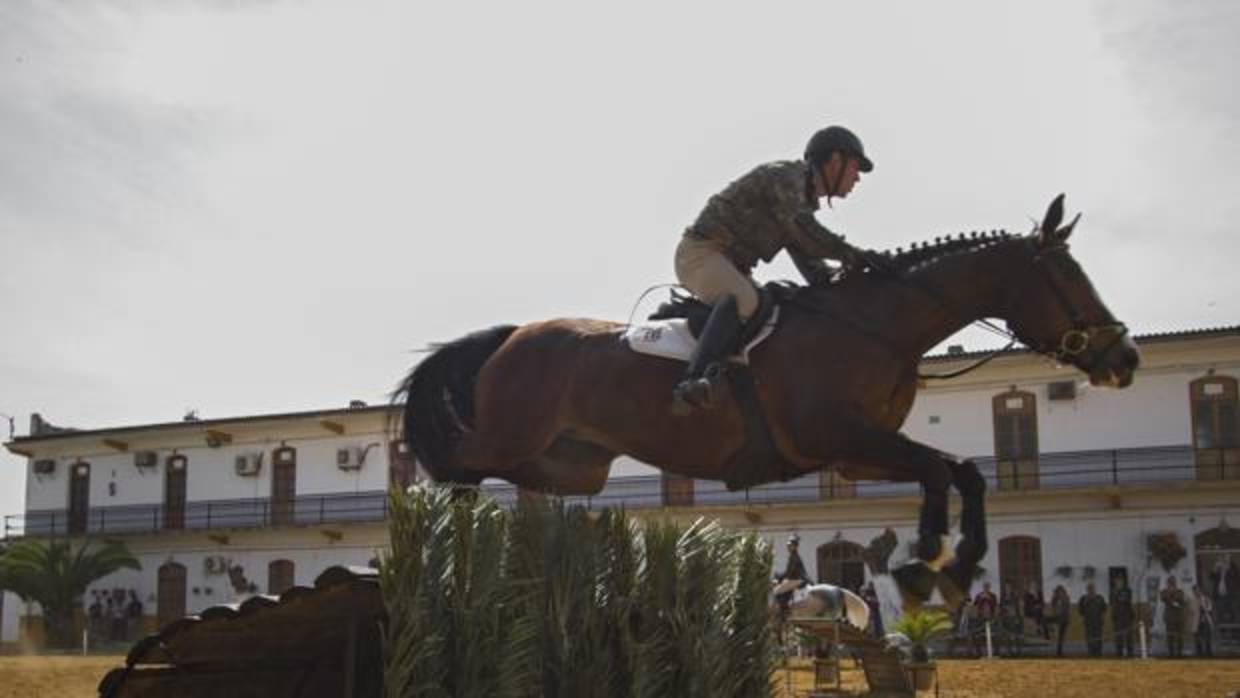 El centro de cría caballar de Écija recibirá la medalla de oro de la ciudad