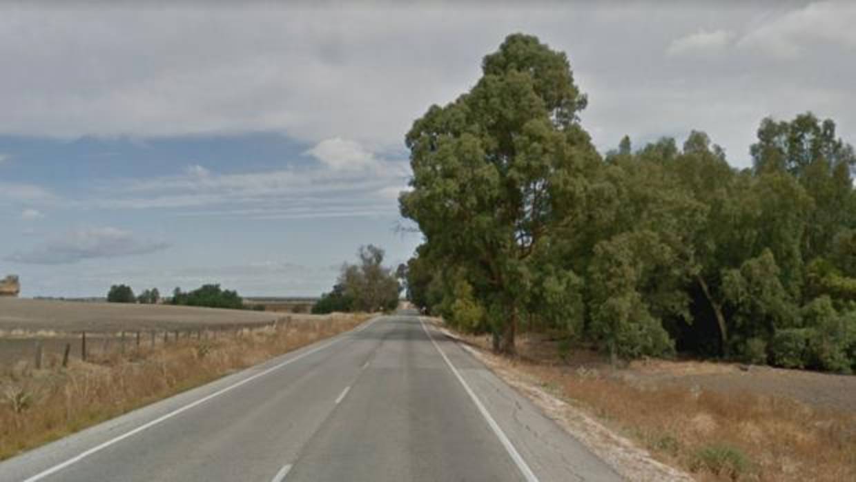 El accidente ha tenido lugar en la carretera A-360 que une Morón de la Frontrera y Alcalá de Guadaíra