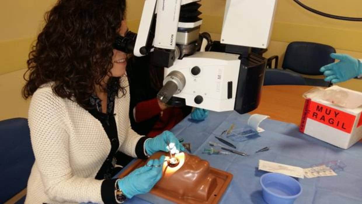 Una oftalmóloga asiste al curso experimental este jueves en el hospital San Juan de Dios