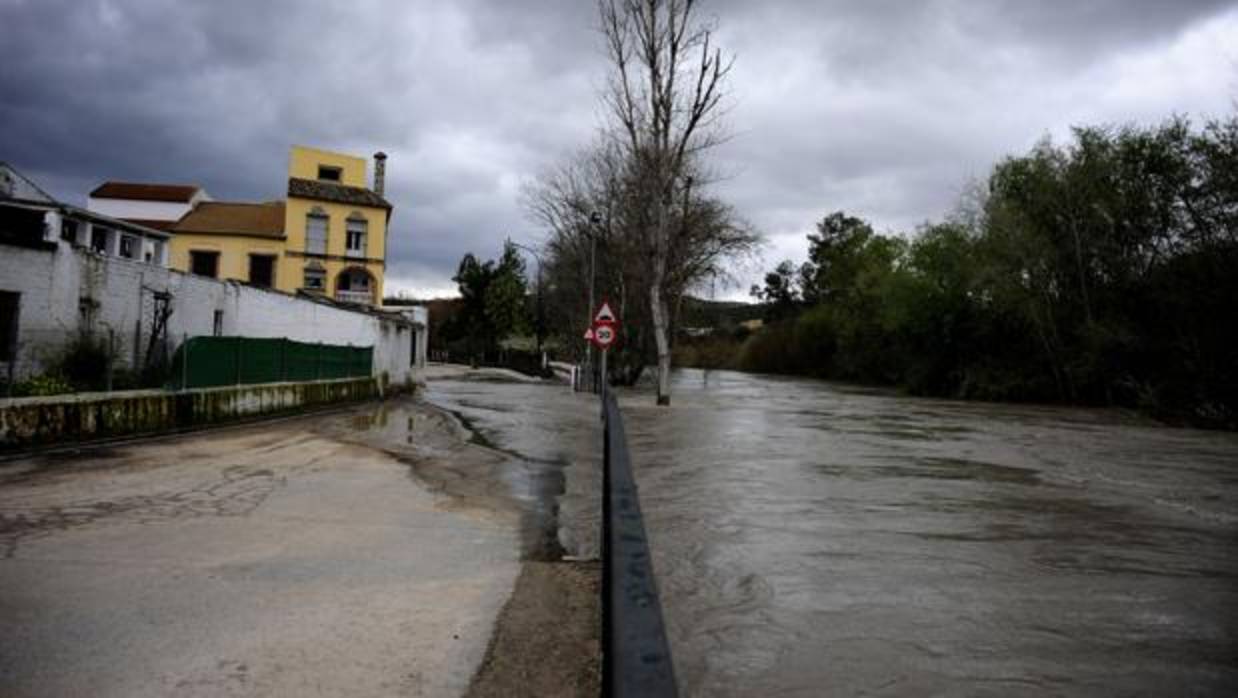 El río Genil desbordado a su paso por Badolatosa