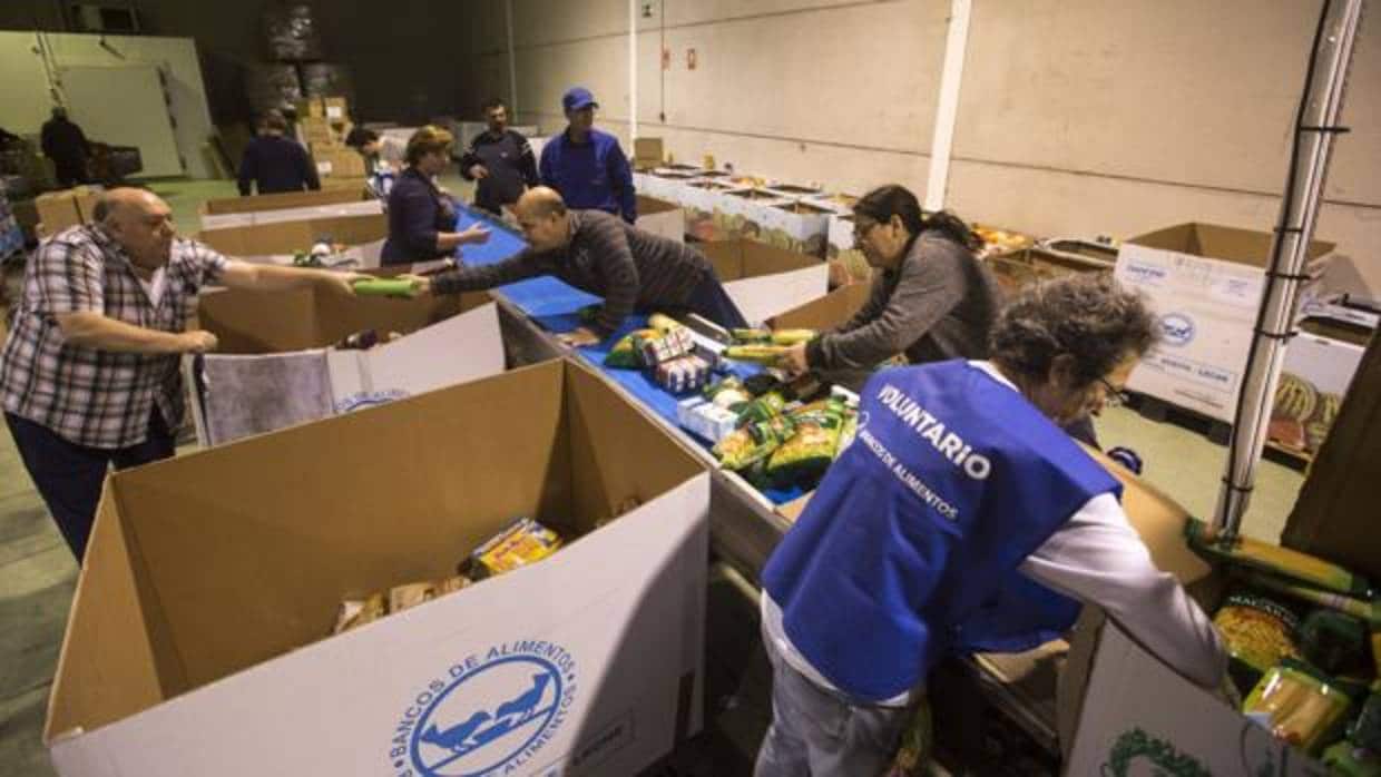 El Banco de Alimentos de Cádiz ha conseguido reunir más de 200.000 kilos de alimentos durante la última Gran Recogida.
