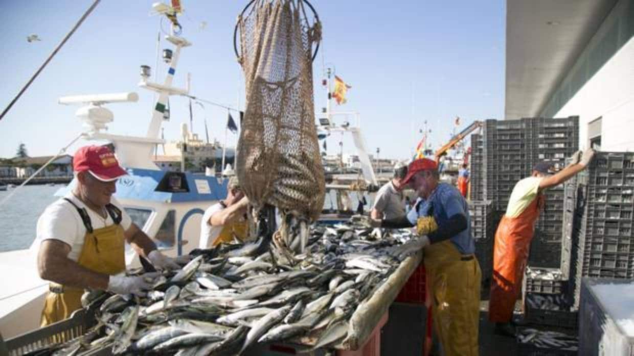 Los pescadores de Cádiz muestran su «satisfacción moderada» tras el acuerdo