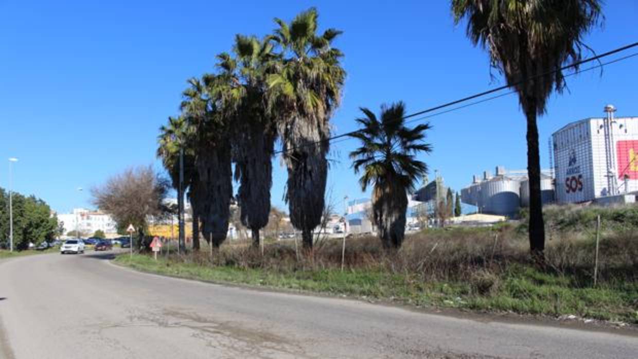 Un carril ciclopeatonal conectará San Juan Bajo con Alavera