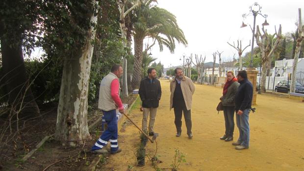 Comienzan las obras de rehabilitación de la Alameda de Alfonso XIII de Carmona