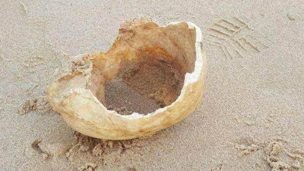 Aparecen restos óseos en la playa de Las Redes