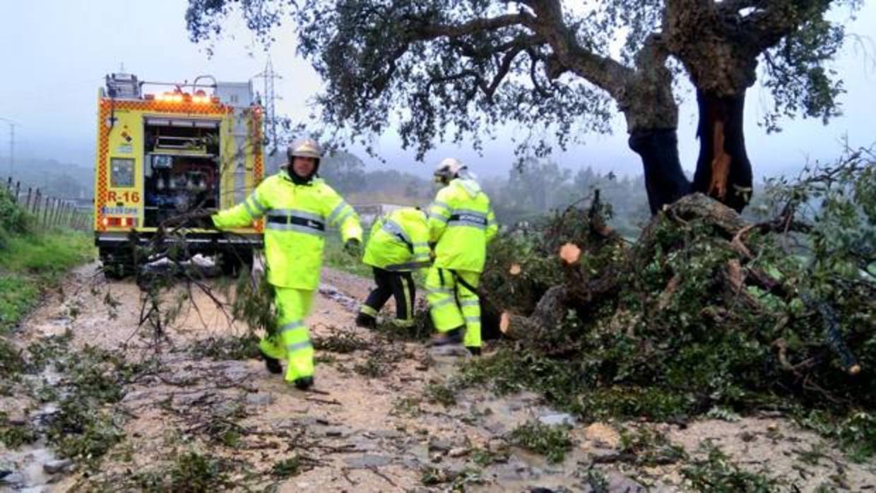 Bomberos realiza casi 100 actuaciones a causa de la borrasca &#039;Emma&#039; en Cádiz