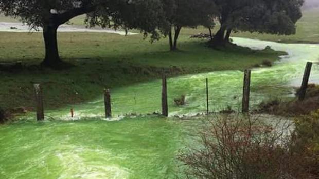 El agua del río fluye verde en Grazalema ¿Por qué?