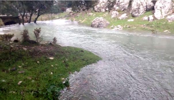 El misterio del agua verde de la Sierra de Grazalema: es un estudio