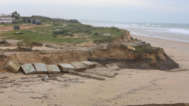 Las playas de Rota: Costa Ballena se recupera