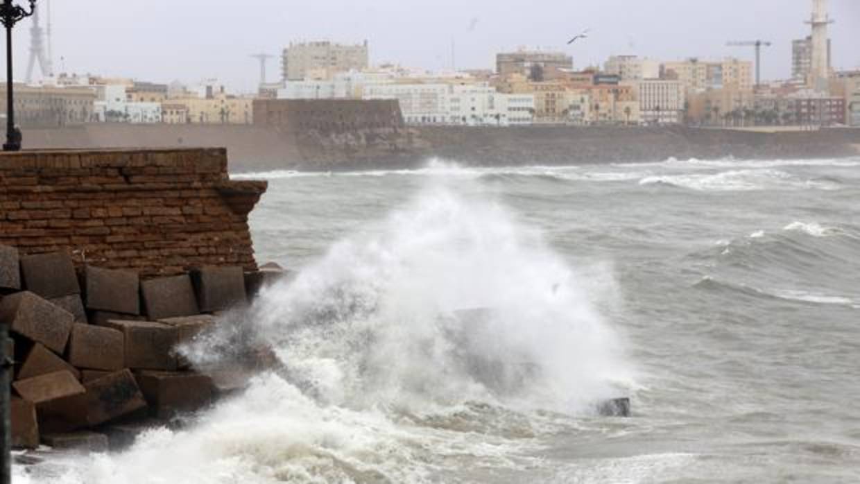 El viento está causando estragos en Cádiz.