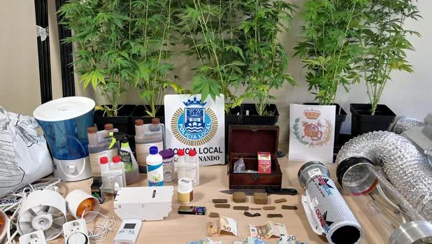 Dos detenidos tras desmantelar un laboratorio de marihuana en una casa en San Fernando