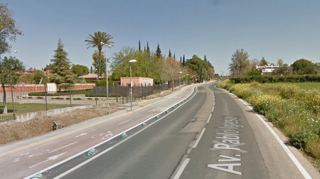 El PP alerta de la sustitución de 47 árboles para la construcción de un tramo del carril-bici en la avenida Pablo Iglesias