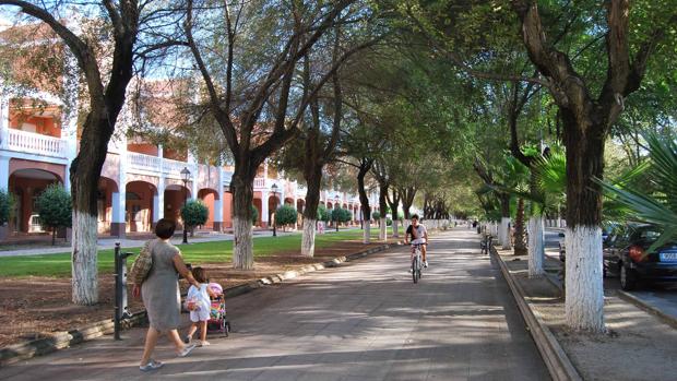 Comienza la nueva organización de las plazas de aparcamientos en el paseo de Consolación de Utrera