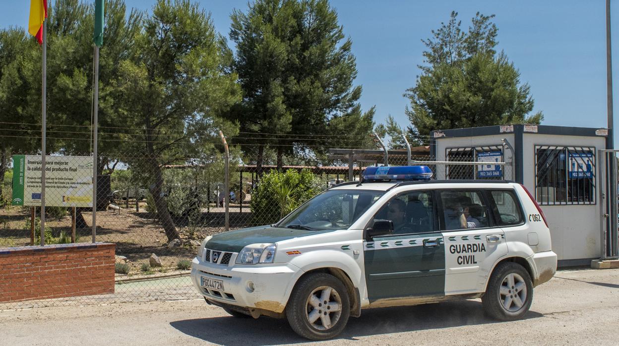 La Guardia Civil y la Policía Local de Salteras buscan al conductor del atropello