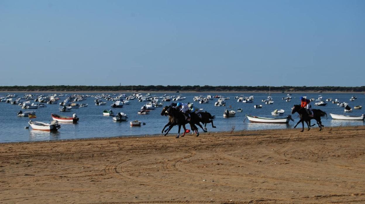 Los caballos en plena competición por las playas de Sanlúcar