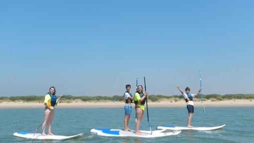 El paddle surf está causando furor este verano