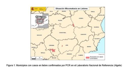Zonas en las que se han encontrado de momento casos de liebres afectadas por la mixomatosis