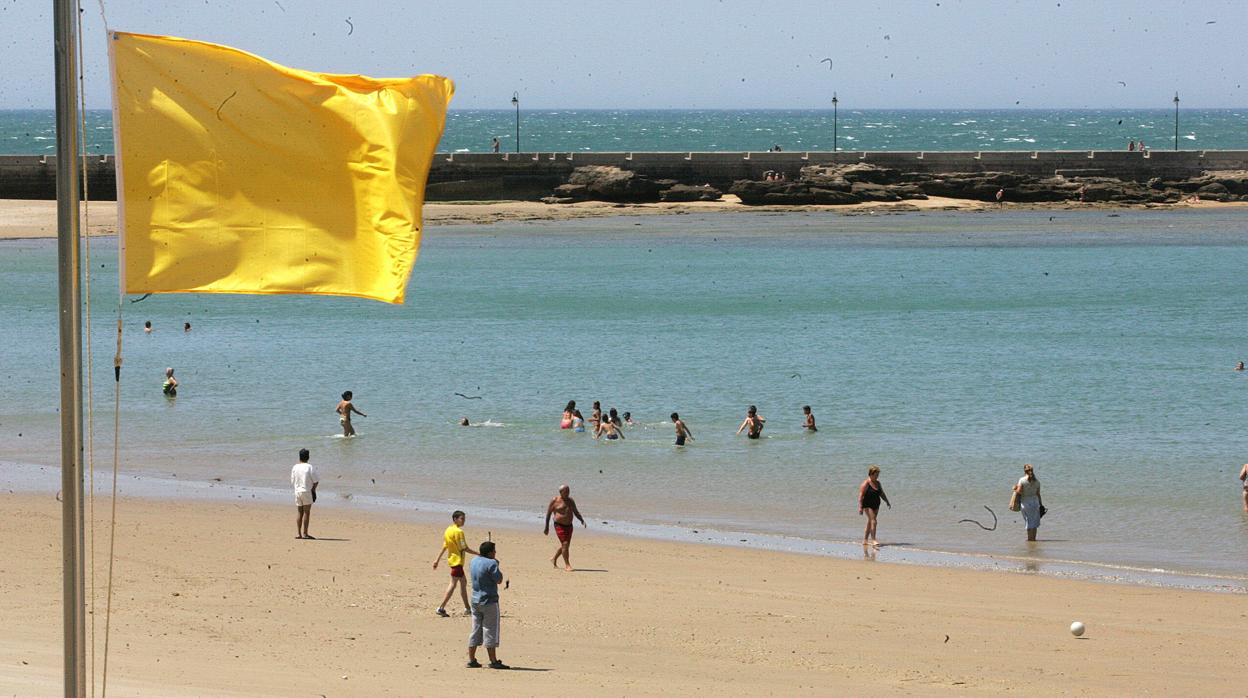 La bandera amarilla ondeará en muchas playas de Cádiz.