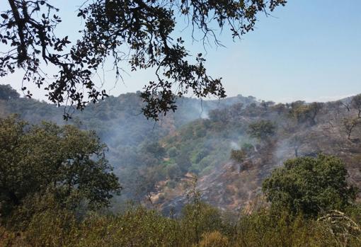 Imagen de la zona incendiada