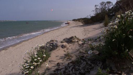 En San Fernando se encuentra esta maravillosa playa, con el castillo de Sancti Petri al fondo.