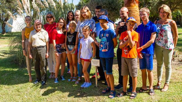 El Árbol de la Vida del parque Genovés