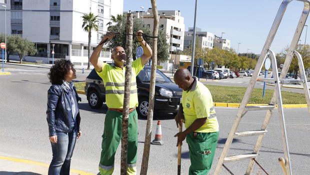 Mairena planta más de 470 árboles en dos años