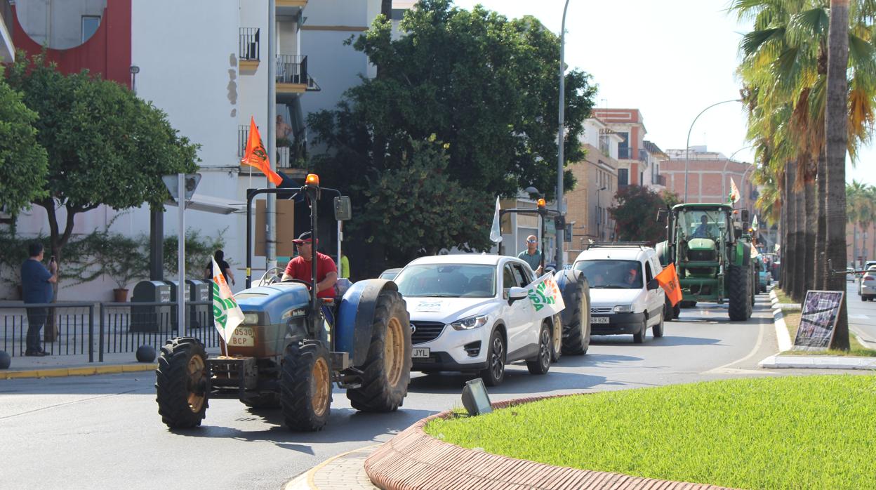 Tractorada en Los Palacios para reivindicar un precio justo de la aceituna