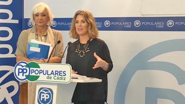 El PP pide a la Junta un plan para hacer frente a la climatización de los colegios de Cádiz