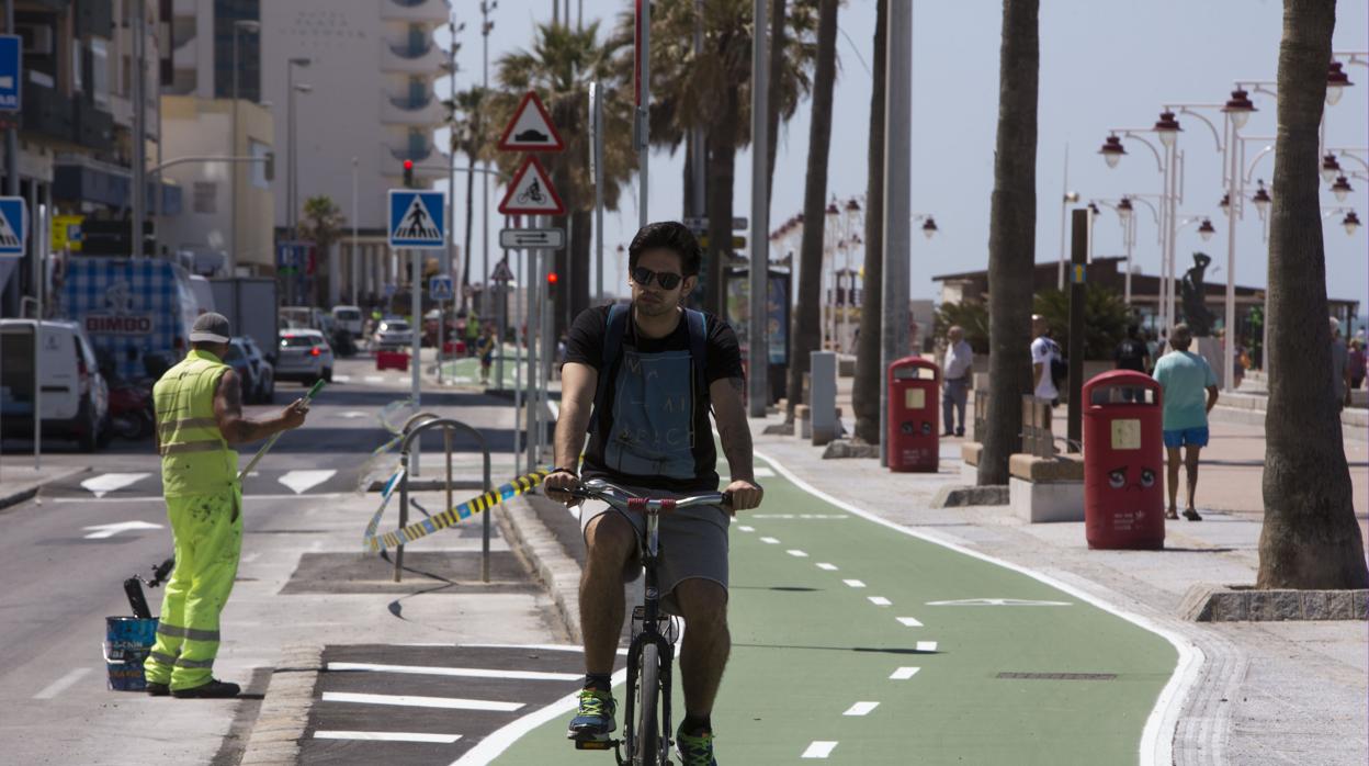 Las obras de peatonalización y carril bici del Paseo serán independientes