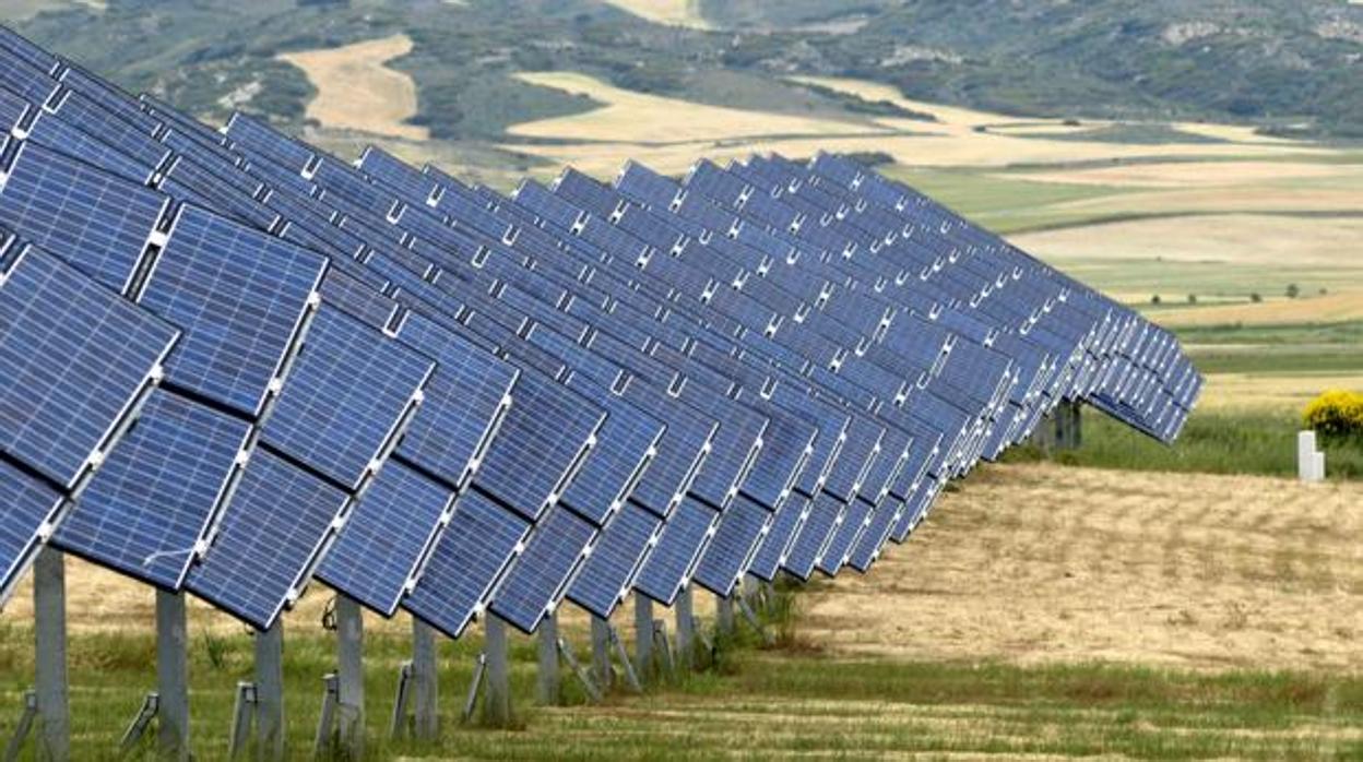 Nueve empresas nacionales quieren instalar plantas solares en en el término municipal de Carmona