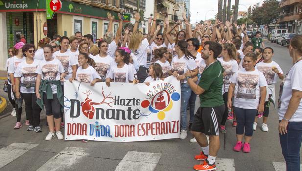 Más de 700 palaciegos marchan por la donación de órganos, tejidos y sangre