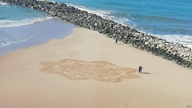 La flor efímera de la playa de Cádiz