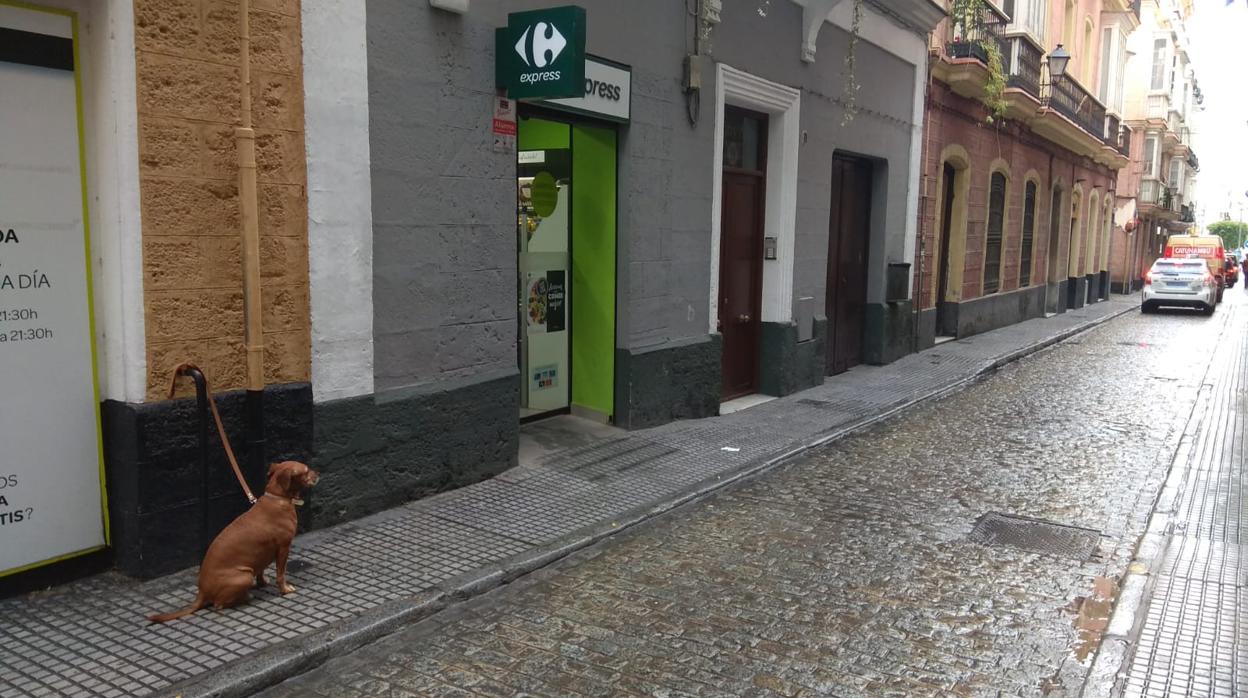 Imagen de la puerta del establecimiento en la calle Buenos Aires