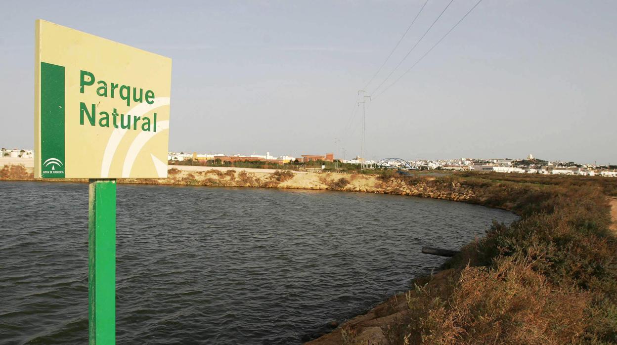 Parque Natural Bahía de Cádiz.