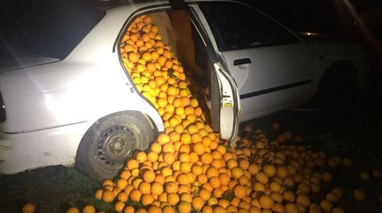 Vehículo interceptado a rebosar de naranja de otro suceso similiar en Sevilla