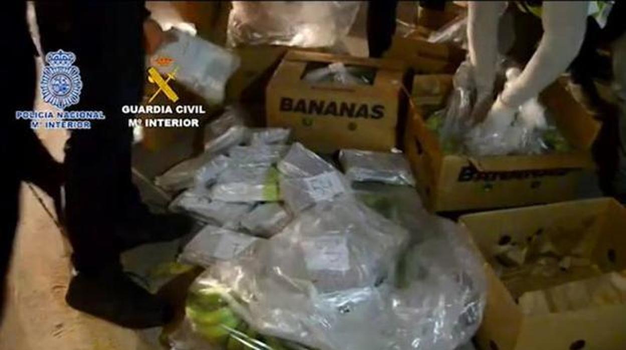 Imagen de archivo de droga oculta en un cargamento de bananas.