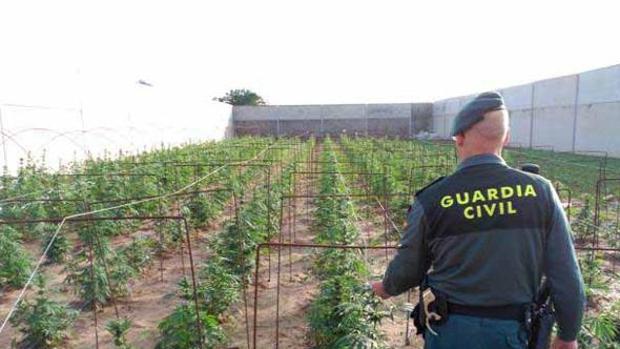 La Fiscalía pide absolver al acusado de matar a un joven que intentó robarle una plantación de marihuana